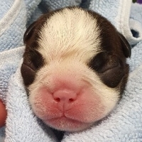 20200825_100949_resized-002