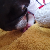 20200828_095945_resized