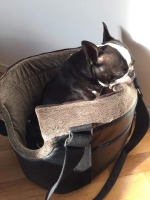 received_1634910306789372