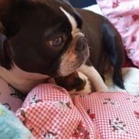 20200831_101349_resized