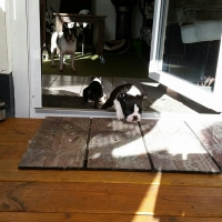 20160126_120330-1_resized