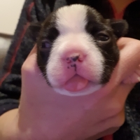 66520200226_190009_resized