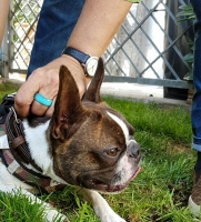 20160928_172022_resized