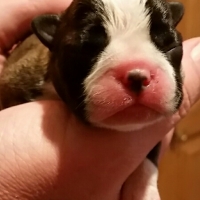 00320151014_184410-1_resized