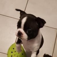 43000482_1881909518523231_1404548829432250368_n