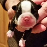 00520151014_184744-1_resized