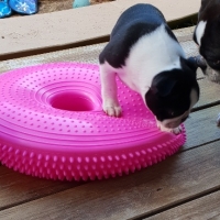 20181014_171229_resized