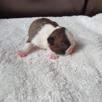 20200826_175324_resized