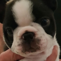 42848609_1881920638522119_5978942733455196160_n