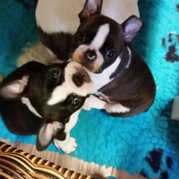 20160209_101039_resized