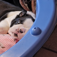 20240712_201050_resized