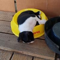 20181012_145824_resized