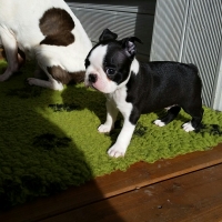 20160126_115706_resized