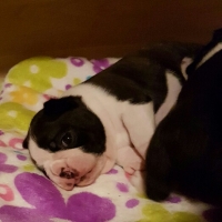 20161215_203559_resized