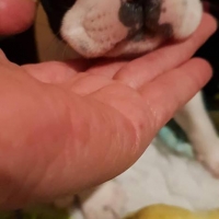 42828727_1880933485287501_5143138953737535488_n