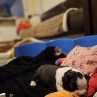 20240715_215803_resized