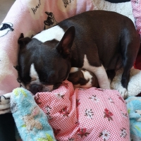 20200831_101434_resized