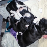 31-schlafen-was-auch-sonst