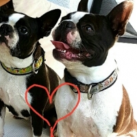 0-20160929_112546_resized