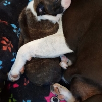 41752330_1863918073655709_6552243953196859392_n