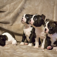 0000000000000000000000000000001