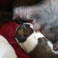 20200828_105306_resized